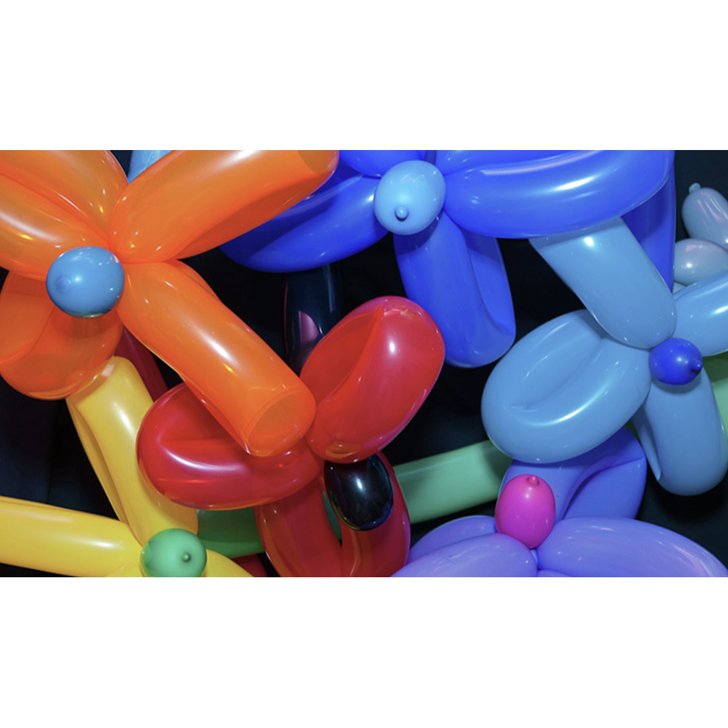 SCULPTEUR BALLONS