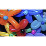 SCULPTEUR BALLONS